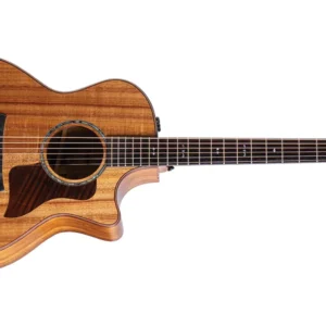 Taylor Acoustic Guitar 724ce